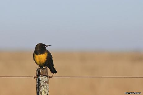 Salida en el día de la Bandera
