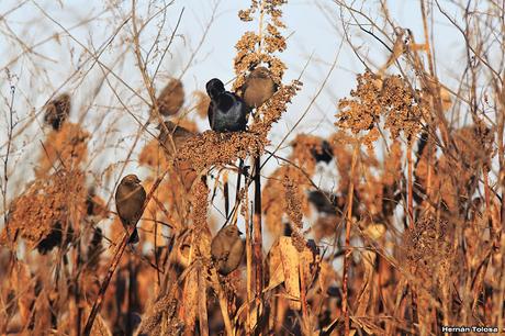 Salida en el día de la Bandera