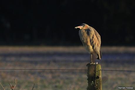 Salida en el día de la Bandera