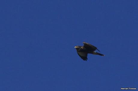 Salida en el día de la Bandera