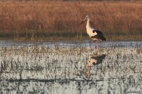 Salida en el día de la Bandera