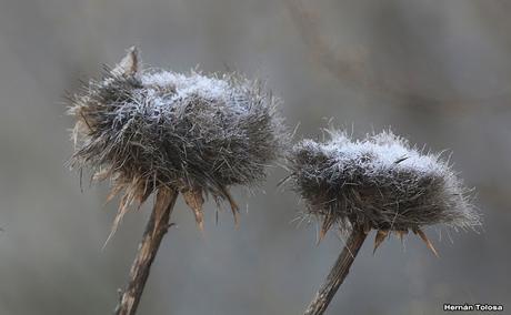 Salida en el día de la Bandera