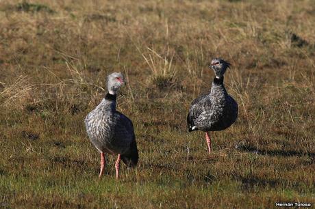 Salida en el día de la Bandera