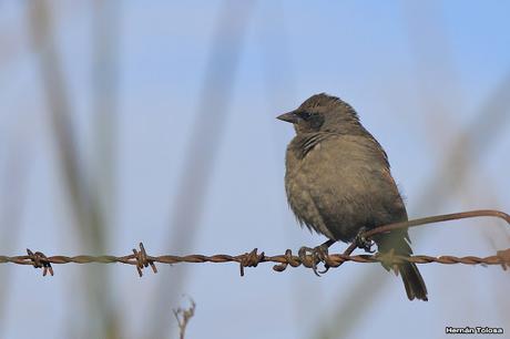 Salida en el día de la Bandera