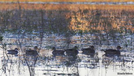 Salida en el día de la Bandera
