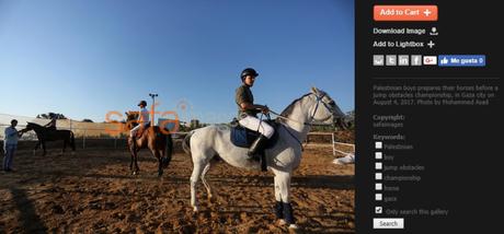 Crisis humanitara en Gaza: competición hípica