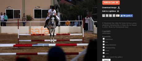 Crisis humanitara en Gaza: competición hípica