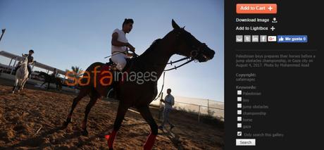 Crisis humanitara en Gaza: competición hípica