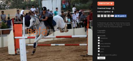 Crisis humanitara en Gaza: competición hípica