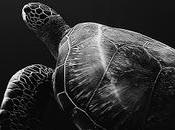 baile más» relato Carmelo Beltrán