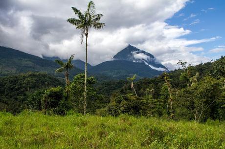 Troncal Amazónica: Macas - Zamora