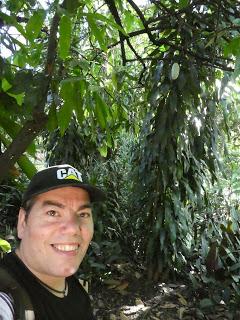 Del Cacao al Chocolate