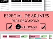 Especial Apuntes Para Descargar