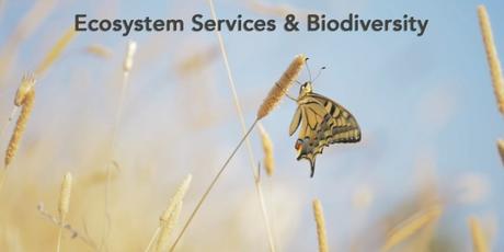 Conservar los recursos naturales es ganar el futuro