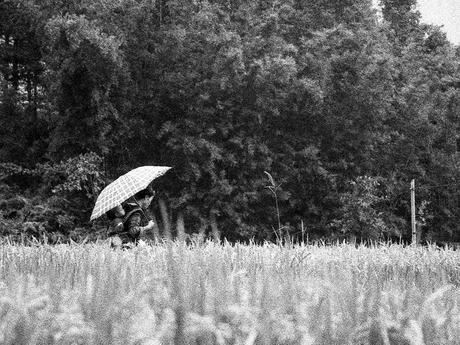 ‘Mundos en miniatura’, de Manuel Moraleda, reconstruyendo la vida como un puzzle en formato químico Sapa