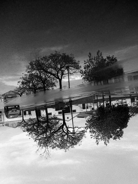 ‘Mundos en miniatura’, de Manuel Moraleda, reconstruyendo la vida como un puzzle en formato químico El Puerto De Santa Maria