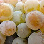 Sorbete de vino tinto y frutos rojos