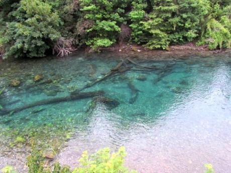 Correntoso, El río más corto del mundo o uno de los...