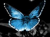 Érase vez... Amor Imposible"