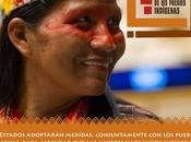 Pueblos Indígenas: “Más visibles pero igual perseguidos”