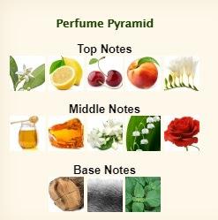 Perfumes de equivalencia de MILTON LLOYD en GETZZI