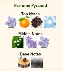 Perfumes de equivalencia de MILTON LLOYD en GETZZI