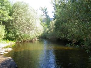 Los clientes preferidos en la Sierra Norte