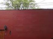 paseo literario México, verano 2017