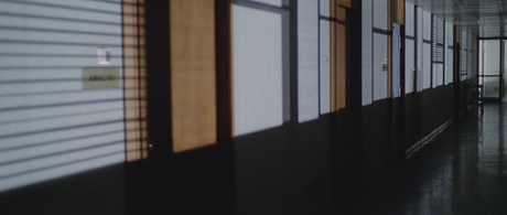 Il gatto a nove code - 1971