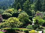 Butchart Gardens, colorido regalo vista