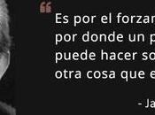 ¿Qué significa pensar críticamente? estulticia desasimiento (Parte III)