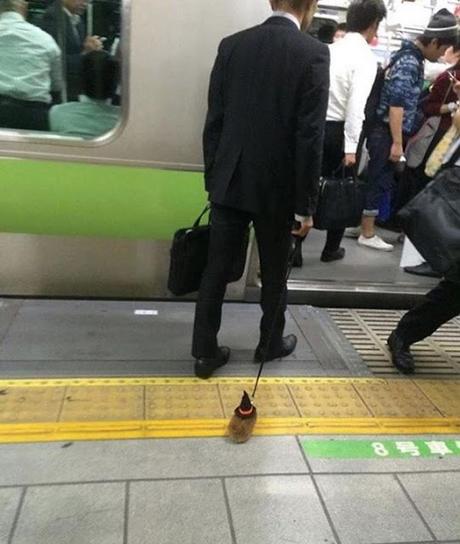 Las 10 fotos mas graciosas del mundo de gente extraña en el metro