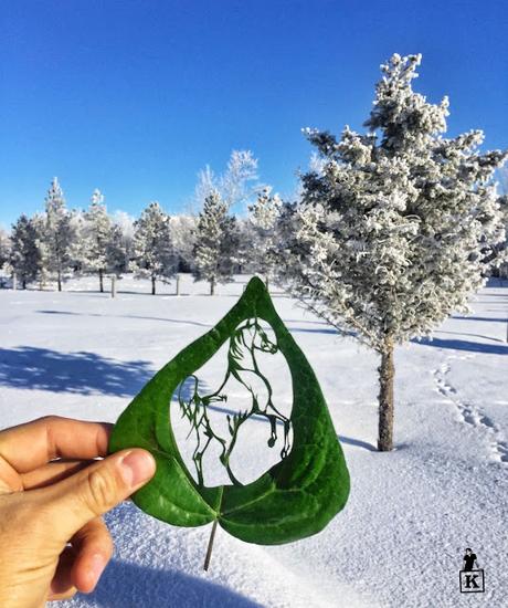 Una nueva forma de hacer un dibujos con hojas de arboles ¡te sorprenderás!