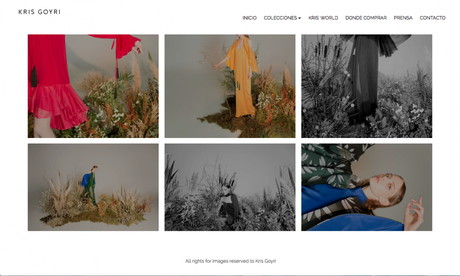 Top 10 de los mejores sitios web de diseñadores de moda Top 10 de los mejores sitios web de diseñadores de moda