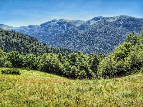 Biogradska Gora, un paraíso en el medio de la montaña en Montenegro