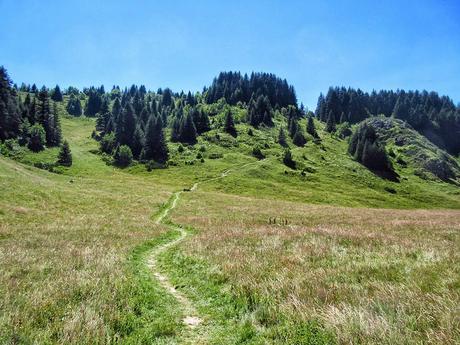 Biogradska Gora, un paraíso en el medio de la montaña en Montenegro