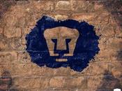 suenan para sustituir Palencia, lesiona jugador importante, sueña regresar