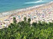 Hojas Biarritz