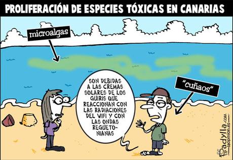 [Humor en cápsulas] Para hoy sábado, 12 de agosto de 2017