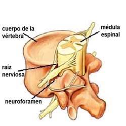 Todo sobre la anestesia epidural en la cesárea [2]