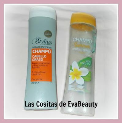 Productos Terminados (Vol.41)