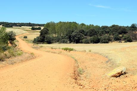 Un problema con las señales en El Camino de Santiago después de Hospital de Órbigo.