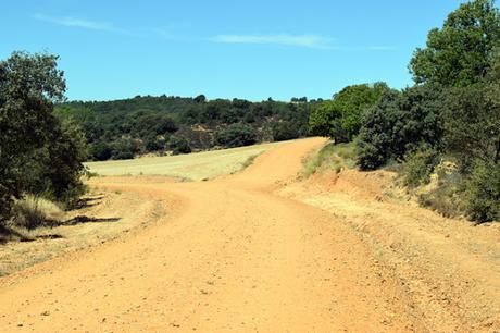 Un problema con las señales en El Camino de Santiago después de Hospital de Órbigo.