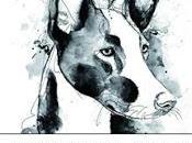 apoyo Plataforma Adopta Madrid