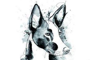 En apoyo de la Plataforma Adopta Madrid