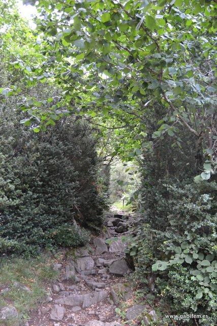 Sendero Botánico y Gorgas de Alba