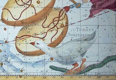 Las constelaciones perdidas (II)