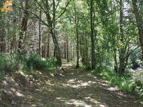 Cómo llegar a la Fervenza de Augacaída de Mañón