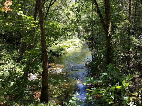 Cómo llegar a la Fervenza de Augacaída de Mañón