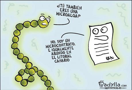 [Humor en cápsulas] Para hoy martes, 15 de agosto de 2017